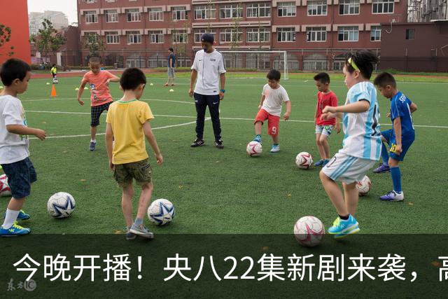 今晚开播！央八22集新剧来袭，高叶主演，终于轮到律政轻喜剧火了