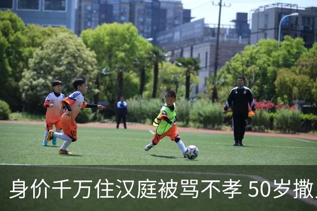 身价千万住汉庭被骂不孝 50岁撒贝宁回武汉 撕开中年人最痛的遮羞布